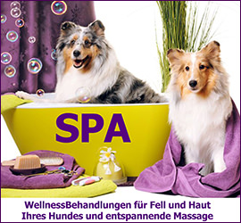 SPA Hundesalon Gaggenau Hundesalon hundeshop Mußielda Hauptstraße 36