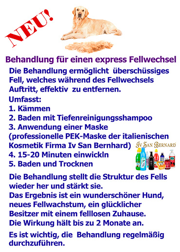 Behandlung für einen express Fellwechsel Hundesalon Mussielda Hundefriseurin