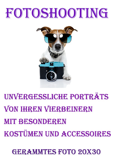 Fotoshooting Hundesalon Mußielda Baden Baden