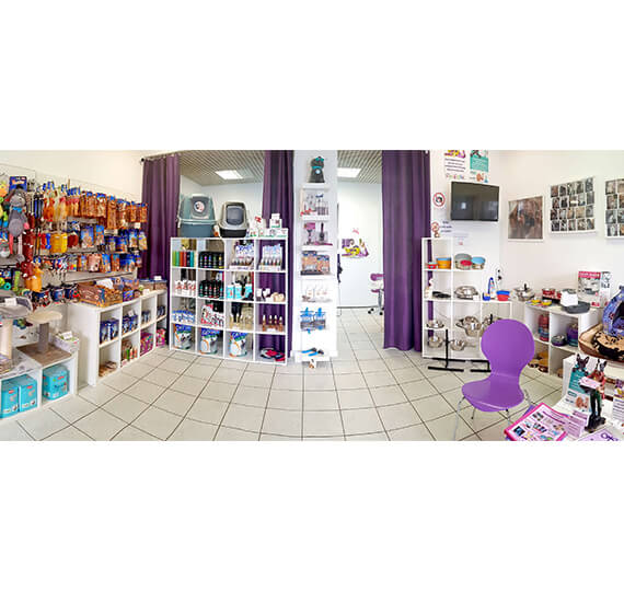 Professionelle Hundefriseurin hundepflege hundefriseur Hundesalon Mussielda