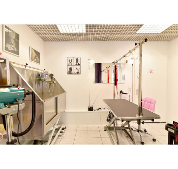 Hundesalon Baden-Württemberg Hundesalon Mußielda Hundesalon Gaggenau Hundefriseurin Hundepflege