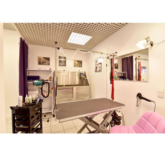 preise hundefriseur Hundesalon Mussielda Hund Trimmen scheren Hund baden