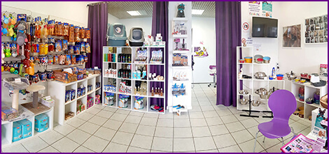 Hundesalon Baden-Baden hundefriseur Gaggenau hundesalon mussielda