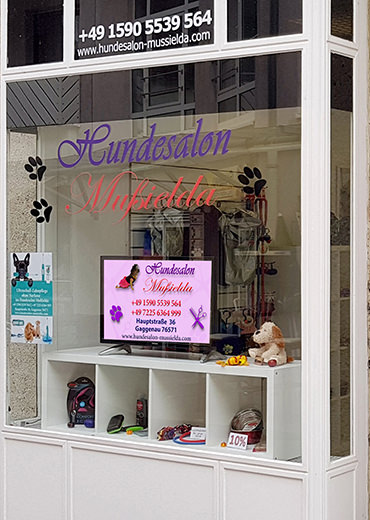 Scheren Hund Bürsten Hundesalon preise