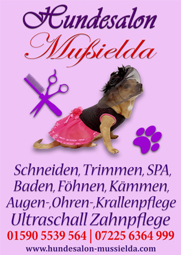 Hundefriseur Elena Hundesalon Baden Baden Gaggenau Hundesalon Mußielda