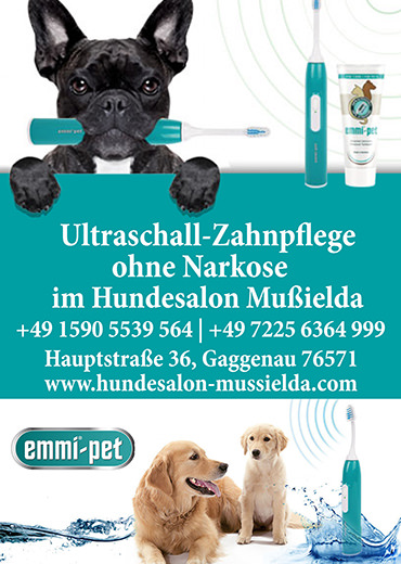 Hundefriseurin Elena Hundesalon Rastatt Gaggenau Hundesalon Musilda